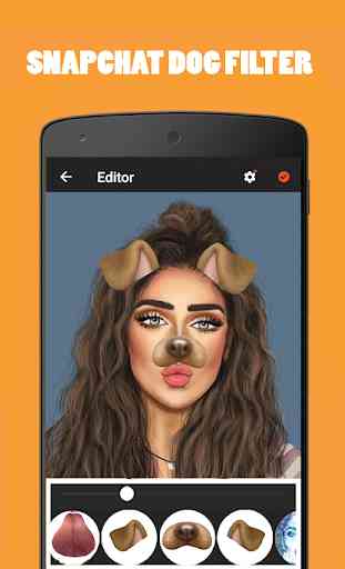 Funny Selfie Camera Photo and Picture Editor 4