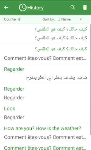 French - Arabic Translator 4