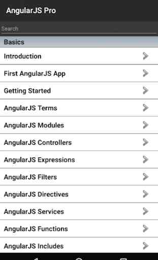 AngularJS Pro Free 1