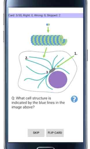 Cell Biology-101 4