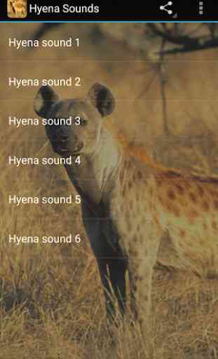 Hyena Sounds 2