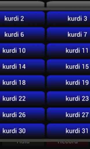 Real Kurdi Musical Instrument 2
