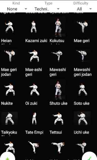 PocketPT - Shotokan Karate 3