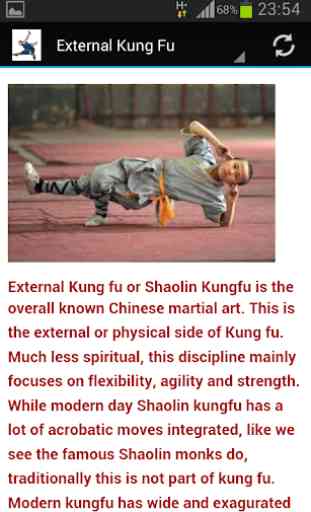 Shaolin Kung fu 4