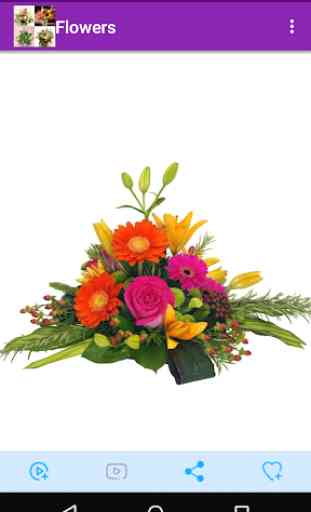 1000 flower arrangements 3