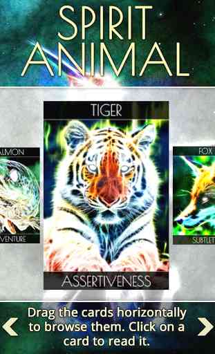 Spirit Animal Oracle Cards 4