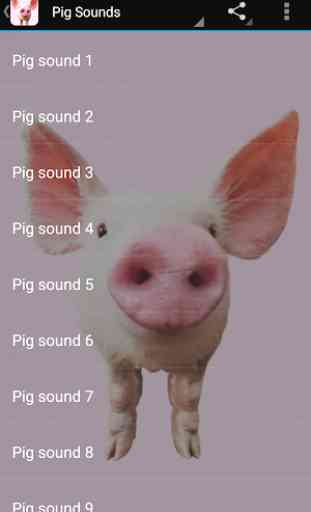 Pig Sounds 3