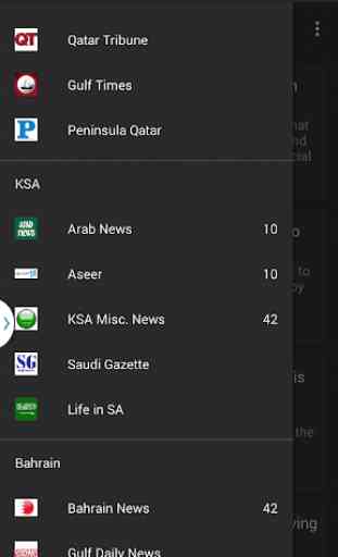 Gulf News (GCC News) 3