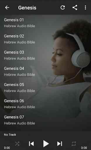 Hebrew Audio Bible 4