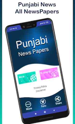Punjabi News - All NewsPapers 1