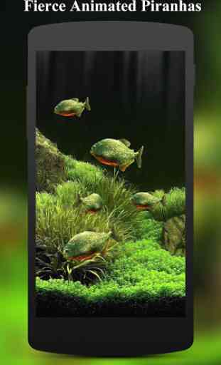 3D Fish Aquarium Wallpaper HD 3