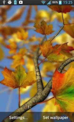 Autumn Leaves in HD Gyro 3D XL  Parallax Wallpaper 4