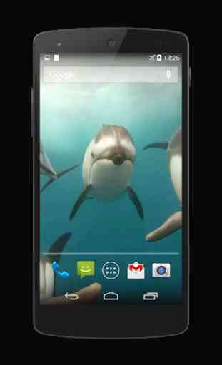 Dolphins Live Wallpaper 1
