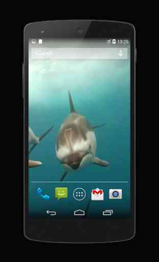 Dolphins Live Wallpaper 3