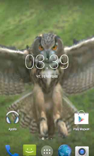 Flying Owl Live Wallpaper 2