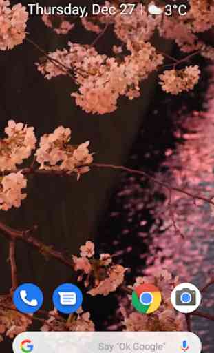 Japanese Sakura Garden 1