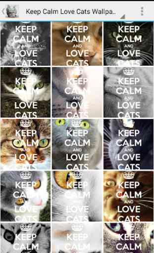 Keep Calm Love Cats Wallpapers 1