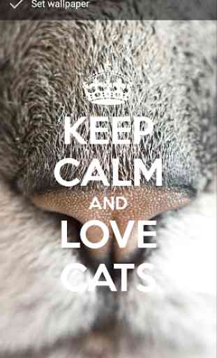 Keep Calm Love Cats Wallpapers 2
