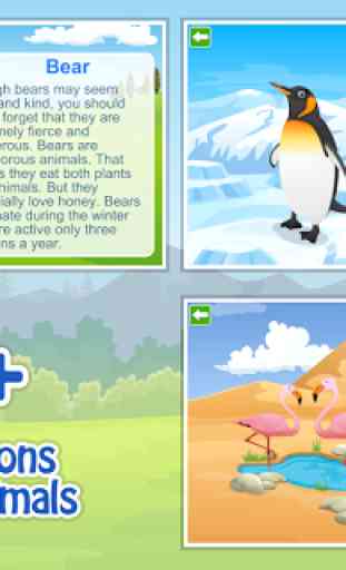 Kids Learn about Animals Lite 4