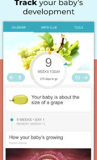 Pregnancy Tracker + Countdown to Baby Due Date 2