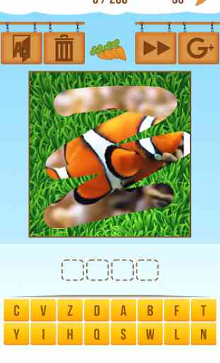 Scratch and guess the animal 4