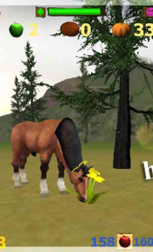 Simulatore Horse - 3d game 4