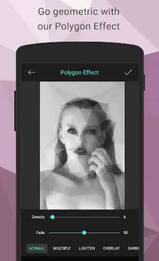 Polygon Effect - Low Poly Art 1