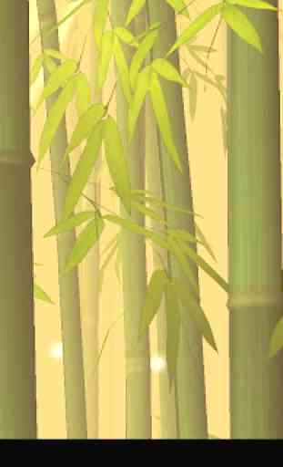 Bamboo Forest Free L.Wallpaper 4