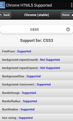 HTML5 Supported for Chrome? 2