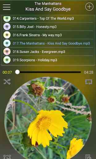 MePlayer Music (MP3, MP4 Audio Player) 1