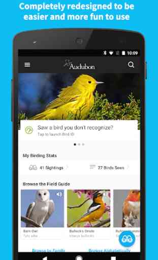 Audubon Bird Guide 1