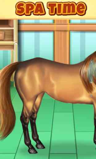Horse Hair Salon 4