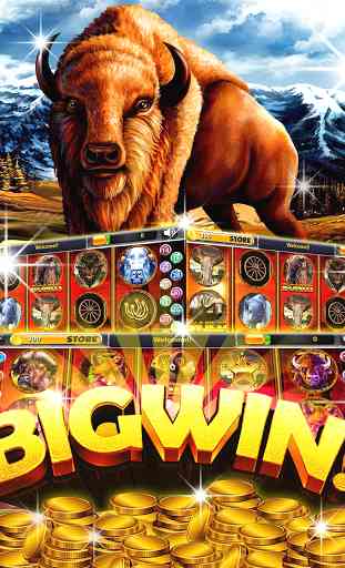 Buffalo Slots - Casino Reale 3