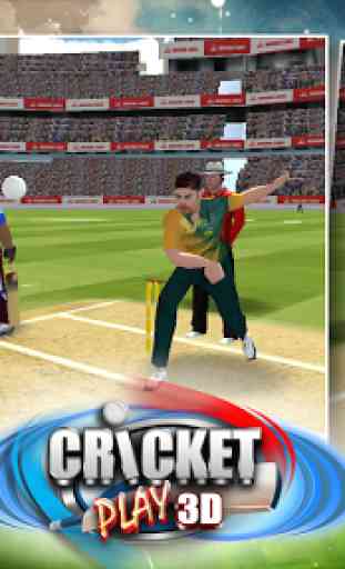Cricket Giocare 3D 4