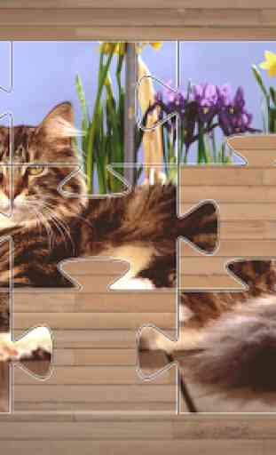 Giochi Puzzle di Gatti Gratis 3