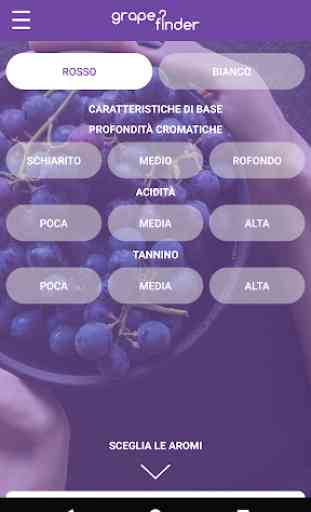 GrapeFinder (vino e l'uva) 3