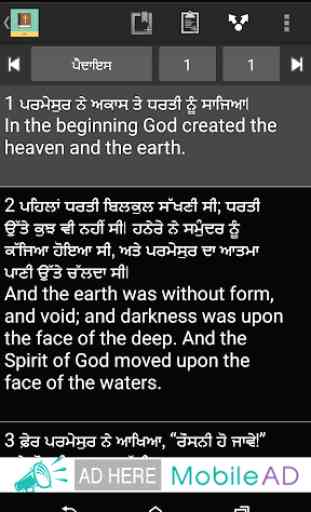Punjabi English Bible 2