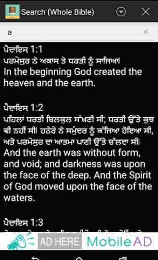 Punjabi English Bible 4