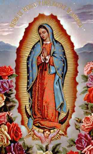 Virgen de Guadalupe 1