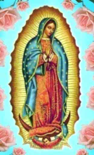 Virgen de Guadalupe 3