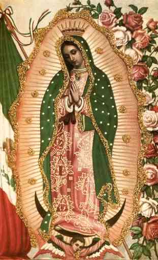 Virgen de Guadalupe 4