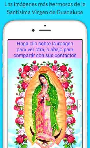 Virgen de Guadalupe. Imágenes, oraciones, historia 1