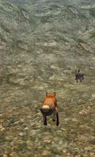 Wild Fox Survival 3d Simulator 2