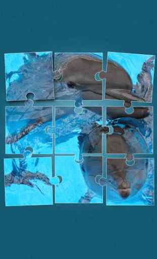 Delfini Giochi Di Puzzle 1