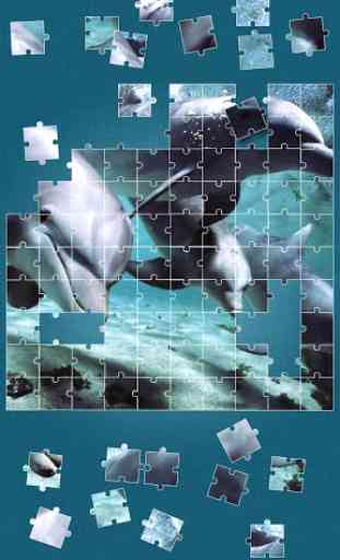 Delfini Giochi Di Puzzle 2