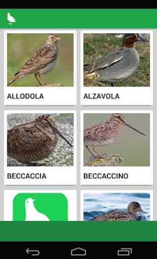 Richiami Uccelli Birdwatching 1