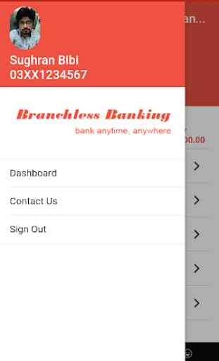 Branchless Banking 4