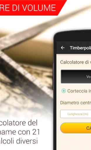 Calcolatori per legno & Registratore - TIMBERPOLIS 2