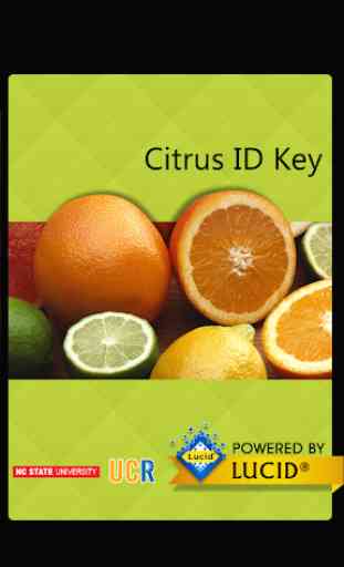 Citrus ID 1