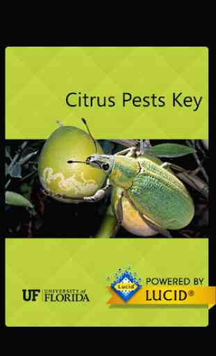 Citrus Pests Key 1